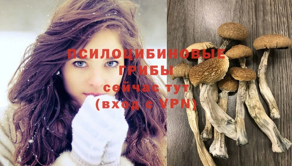 экстази Белокуриха
